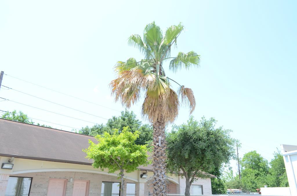 Texan Inn & Suites Louetta Buitenkant foto